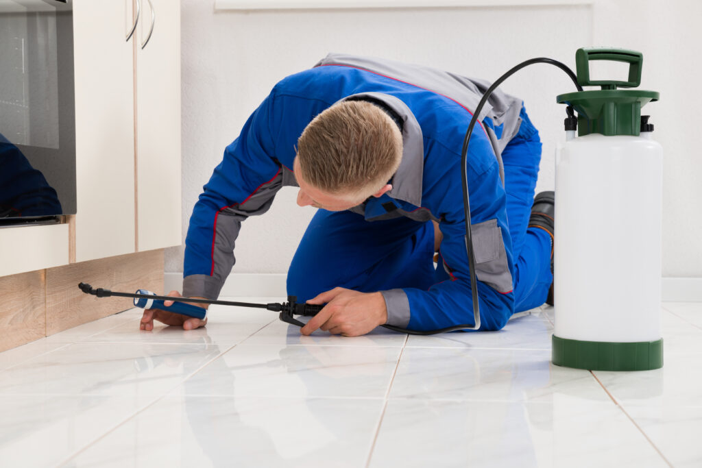 Anna Ant Control Xperts
